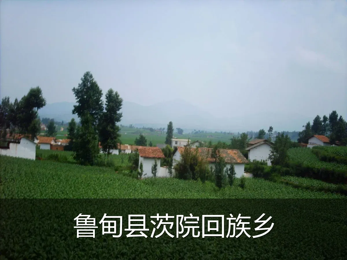 鲁甸县茨院回族乡