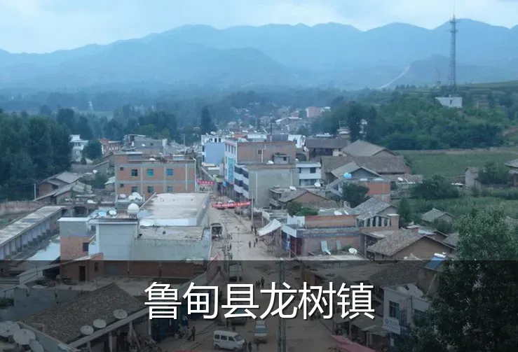 鲁甸县龙树镇